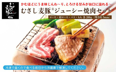 W[V[ȁuނ؁v@ēpSʁES800gl @y11218-0085z