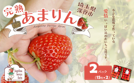 Angelina berrys farm あまりんの2パック入り箱詰めいちご　【11218-0540】
