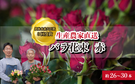 ＜配送エリア限定・着日指定必須＞ 生産農家直送 バラ 新鮮 花束 赤 約26～30本 | 埼玉県 上尾市 バラ 薔薇 ローズ 花束 植物 インテリア 誕生日 記念日 お祝い 母の日 父の日 ラッピング有り リボン付き 多品種 赤 花束 切り花 農林水産大臣賞 生花 プレゼント ギフト