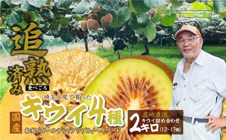 キウイフルーツ[先行予約 数量限定 11月発送]4種 2kg 12-17個 キウイ 詰め合わせ