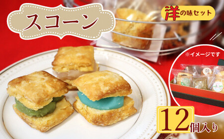 ~ {iXRbghXR[ ThXR[m̖ 12Zbg XR[ َq