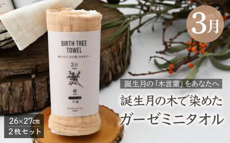 3月「檜(ヒノキ)」の木言葉 「不滅」 BIRTH TREE TOWEL | ガーゼ ガーゼ ガーゼ ガーゼ ガーゼタオル ガーゼハンカチ タオル ハンカチ ふわふわ 草木染 染め RYOKUSUIEN 緑酔園 埼玉県 草加市 草加