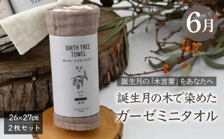 6月「ビワ」の木言葉 「温和」 BIRTH TREE TOWEL | ガーゼ ガーゼ ガーゼ ガーゼ ガーゼタオル ガーゼハンカチ タオル ハンカチ ふわふわ 草木染 染め RYOKUSUIEN 緑酔園 埼玉県 草加市 草加