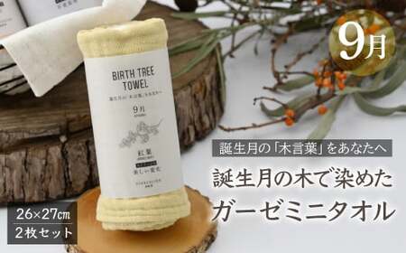 9月「紅葉(モミジ)」の木言葉 「美しい変化」 BIRTH TREE TOWEL | ガーゼ ガーゼ ガーゼ ガーゼ ガーゼタオル ガーゼハンカチ タオル ハンカチ ふわふわ 草木染 染め RYOKUSUIEN 緑酔園 埼玉県 草加市 草加