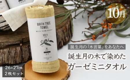 10月「栗」の木言葉 「公平」 BIRTH TREE TOWEL | ガーゼ ガーゼ ガーゼ ガーゼ ガーゼタオル ガーゼハンカチ タオル ハンカチ ふわふわ 草木染 染め RYOKUSUIEN 緑酔園 埼玉県 草加市 草加