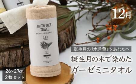 12月「モミ」の木言葉 「向上」 BIRTH TREE TOWEL | ガーゼ ガーゼ ガーゼ ガーゼ ガーゼタオル ガーゼハンカチ タオル ハンカチ ふわふわ 草木染 染め RYOKUSUIEN 緑酔園 埼玉県 草加市 草加