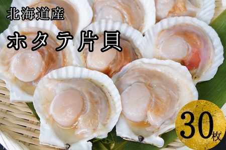 yCNBBQɂ߁zkCY قĕЊL 30 Eς ς݊k  o^[Ă  Ⓚ { ܂ CN Ȓ ӂ邳Ɣ[