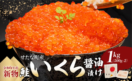 yVzkC ȒY JX̍ݖЂ 1kg(500g×2pbN) VRH    pX^ ʔ Ⓚ CN Ȓ ӂ邳Ɣ[