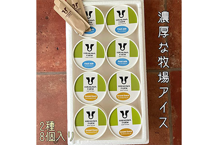 [北海道産搾りたて生乳使用]ひらかわ牧場のアイスクリーム おすすめ2種8個セット フレッシュミルク キャラメルクランチ デザート スイーツ お取り寄せ ギフト せたな町 ふるさと納税