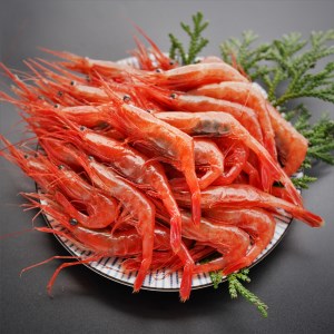ytzkCY Â MTCY500g hg g  X` i Ⓚ VՂ { CN Ȓ ӂ邳Ɣ[