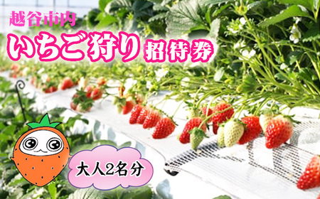 zJs菵Ҍil2j ^  C`S   C`S 䕎 `Pbg p ̌ ό s Ƒ f[g t[c ʕ VN zJY ό_ ANZX