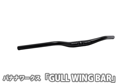 223253 ブラック「GULL WING BAR」