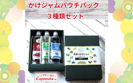 定番のかけジャムパウチパック3種類セット