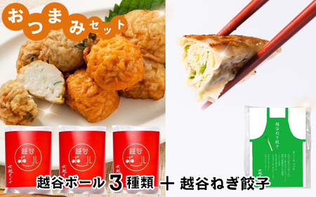 おつまみセット(越谷ボール3種類、越谷ねぎ餃子20個) / 惣菜 おかず おつまみ ツマミ さつま揚げ 冷凍 手軽 時短 おいしい たこ焼き風 ねぎ たまねぎ にんじん ぎょうざ ギョウザ ジューシー 中華 中華惣菜 セット 食べ比べ 埼玉県 No.246