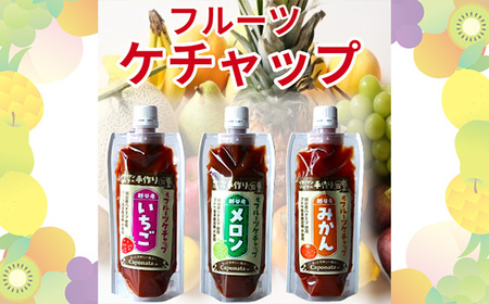 [フルーツケチャップ]苺、メロン、みかんの3種類セットレシピ付き