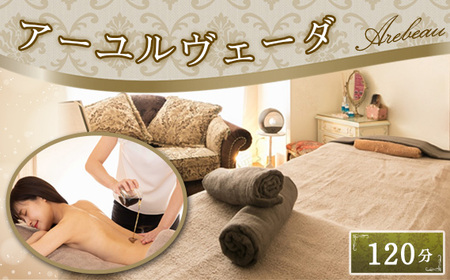 A[F[_@120 ^ `Pbg ` J ̒P I[nh 얞\h  GCWOPA ʌ No.253