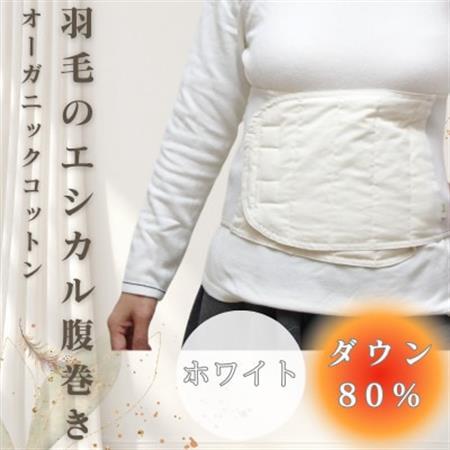 羽毛のエシカル腹巻き サイドリブベリーウォーマー　ホワイト　オーガニックコットン【1590063】