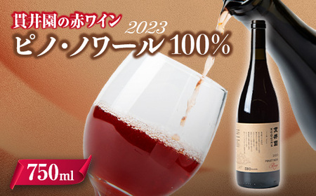2023 赤ワイン　ピノ・ノワール100%　1本　貫井園のワイン【1563823】