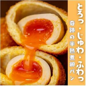 �Ƃ�蔼�n × �������Ǝ|�� �́q�܂邲�Ɣ��n�ϗ��p��8�Z�b�g�r�y�z���s�n��F�����z�y1697363�z