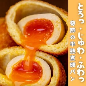 �Ƃ�蔼�n × �������Ǝ|�� �́q�܂邲�Ɣ��n�ϗ��p��10�Z�b�g�r�y�z���s�n��F�����z�y1697367�z