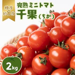 入間市産完熟ミニトマト「千果(ちか)」2kg[配送不可地域:離島]