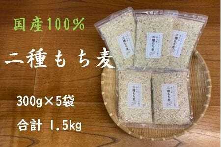 オリジナルブレンド 二種もち麦 5個（計1,500g）