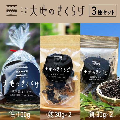 国産きくらげ 3種セット 生きくらげ 100g×4 乾燥きくらげ 30g×2 細切カット 30g×2 大地のきくらげ