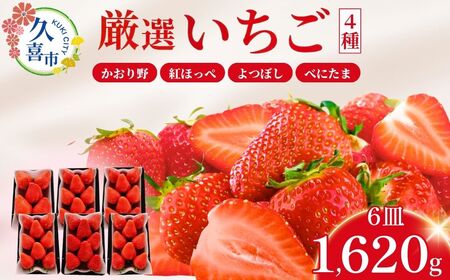 [先行予約][期間限定 2月〜5月まで]おまかせ 埼玉県産 いちご4種類セット 3箱(270g×6パック) (かおり野、紅ほっぺ、よつぼし、べにたまから4品種を選定) 