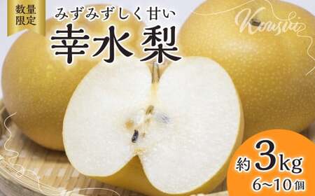 梨[2025年先行予約 数量限定]梨 幸水 約3kg 6玉〜10玉 