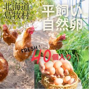 オーガニックファーム・ハッピープレイスの 「ハッピーたまご」40個入り[配送不可地域:離島]