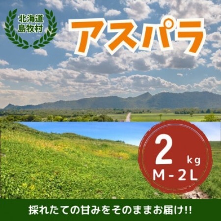 [先行予約・5月より順次発送]北海道島牧村産 アスパラガス 2kg(秀品) 坂下農園[配送不可地域:離島]
