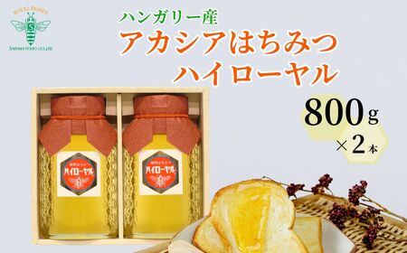 はちみつ ハンガリー産 アカシア はちみつ ハイローヤル 800g×2本 | 蜂蜜 蜂蜜 蜂蜜 蜂蜜 アカシア アカシア アカシア アカシア