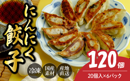 にんにく餃子 120個 | 餃子 冷凍ギョウザ 北本フーズ 埼玉県 北本市