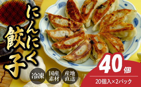 にんにく餃子 40個 | 餃子 冷凍ギョーザ 北本フーズ 埼玉県 北本市