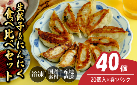 にんにく餃子20個&生餃子20個| 餃子 冷凍ギョーザ 計40個 食べ比べ 北本フーズ 埼玉県 北本市