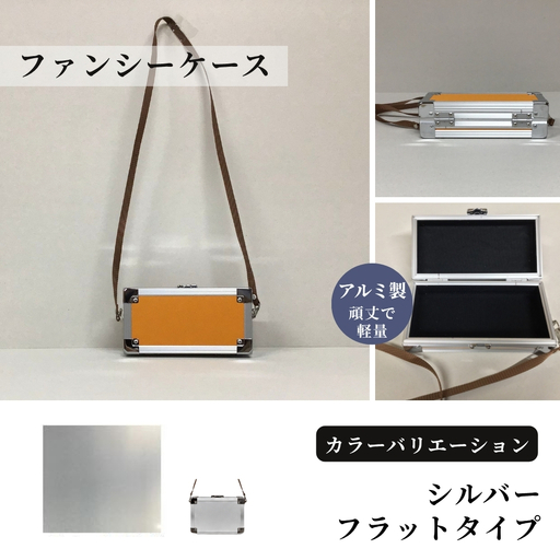 ファンシーケース[シルバー/フラット]