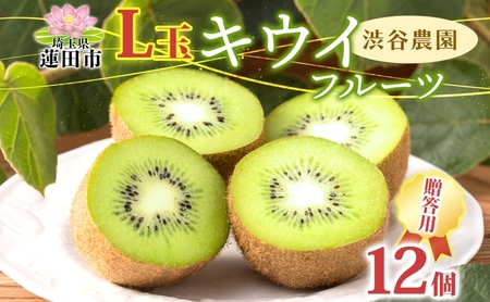 渋谷農園 キウイフルーツ 贈答用(小箱)L玉12個入り キウイ グリーン グリーンキウイ フルーツ 栄養 ビタミンC 食物繊維 酵素 カリウム 葉酸 ビタミンE 低カロリー 果実 果物 お取り寄せ ご当地 送料無料 埼玉県 蓮田市