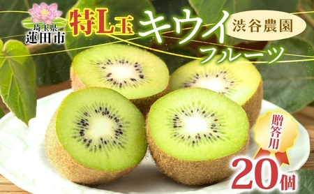 渋谷農園 キウイフルーツ 贈答用 特L玉 20個入り キウイ グリーン グリーンキウイ フルーツ 栄養 ビタミンC 食物繊維 酵素 カリウム 葉酸 ビタミンE 低カロリー 果実 果物 お取り寄せ ご当地 送料無料 埼玉県 蓮田市