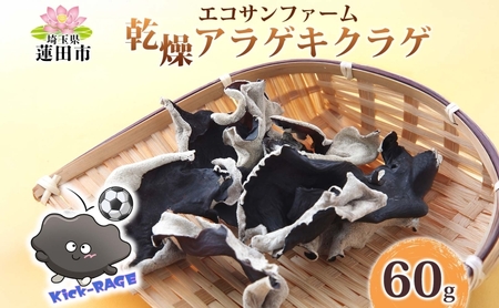 乾燥きくらげ 15g×4 (60g) 小分け 肉厚 乾物 食物繊維 国産 お取り寄せ グルメ こだわり 簡単調理 アラゲキクラゲ きのこ ヘルシー コリコリ 食感 和洋中 送料無料 埼玉県 蓮田市