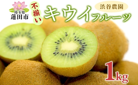 渋谷農園 キウイフルーツ(グリーン) 不揃い 1kg以上 訳あり キウイ グリーンキウイ フルーツ 栄養 ビタミンC 食物繊維 酵素 カリウム 葉酸 ビタミンE 低カロリー 果実 果物 お取り寄せ 送料無料 蓮田市