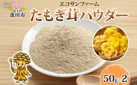 たもぎ茸パウダー 50g×2 計100g 小分け 出汁 粉末 スープ 食物繊維 国産 お取り寄せ グルメ こだわり 簡単調理 きのこ たもぎ茸 旨味 風味 ヘルシー 和洋中 加熱不要 送料無料 埼玉県 蓮田市