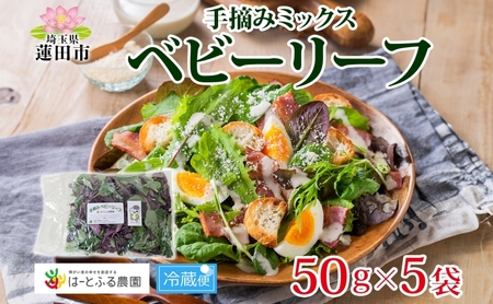 手摘み ミックスベビーリーフ 50g 5袋 ベビーリーフ 野菜 ヤサイ 旬の野菜 葉物野菜 生野菜 ハーブ 緑 彩り 柔らかい 手軽 サラダ サンドイッチ トッピング アクセント はーとふる農園 国産 冷蔵 送料無料 蓮田市 埼玉県