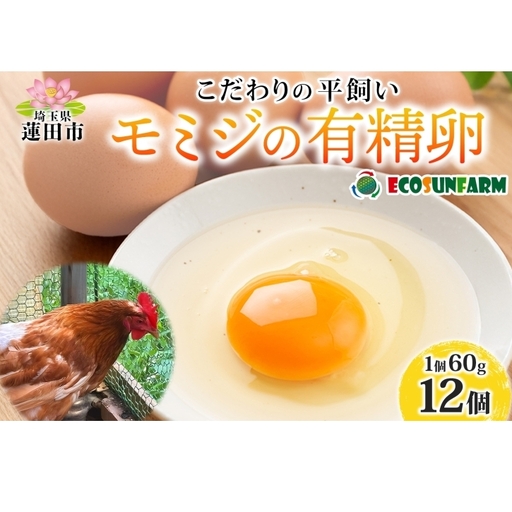 平飼いモミジの有精卵 12個 平飼い 卵 有精卵 もみじ こだわり 国産 鶏卵 赤玉 発酵飼料 濃厚 たまご かけご飯 スイーツ お取り寄せ 産地直送 朝食 エコサンファーム 埼玉県 蓮田市