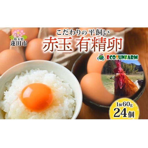エコサンファーム 平飼い 赤玉有精卵 24個 赤玉 有精卵 こだわり 国産 鶏卵 鶏 発酵飼料 たまご かけご飯 料理 スイーツ お取り寄せ 産地直送 朝食 埼玉県 蓮田市