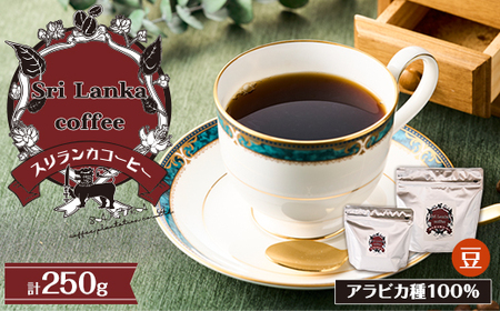 �X�������J�R�[�q�[��SET_�����E�h�����N �R�[�q�[�� �R�[�q�[�E�R�[�q�[�� ���� ���蓤_�y1540532�z