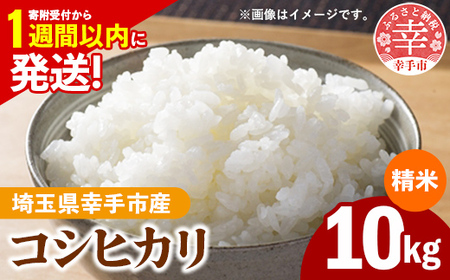 [新米発送]令和6年産 幸手市産 コシヒカリ 白米10kg 色彩選別済 White Rice- お米 米 こしひかり 精米 10kg 埼玉県 幸手市