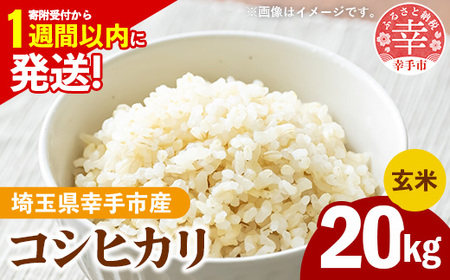 ߘa7NY KsY RVqJ 20kg FʑIʍ Brown Rice -   Ђ  20kg ʌ Ks