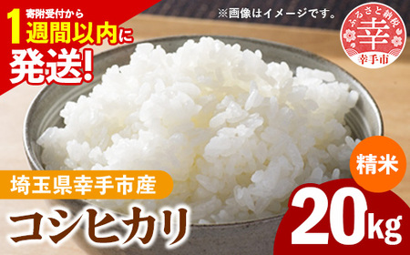 ߘa7NY KsY RVqJ 20kg FʑIʍ White Rice-   Ђ  20kg ʌ Ks