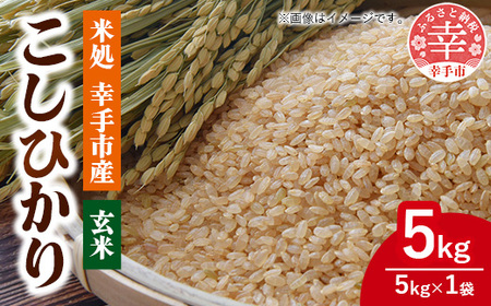 令和7年幸手産 こしひかり[玄米]5kg×1袋 - コシヒカリ 玄米 5kg 令和7年産 埼玉県 幸手市 幸手市産