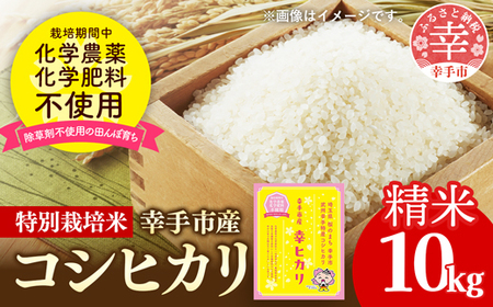 yߘa7NYz_Ew엿͔| ʌKsYʍ͔|RVqJ uKqJv10kg -   ʍ͔| KsY